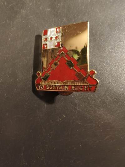 老王徽章第177期 - 美国第85支援营证章