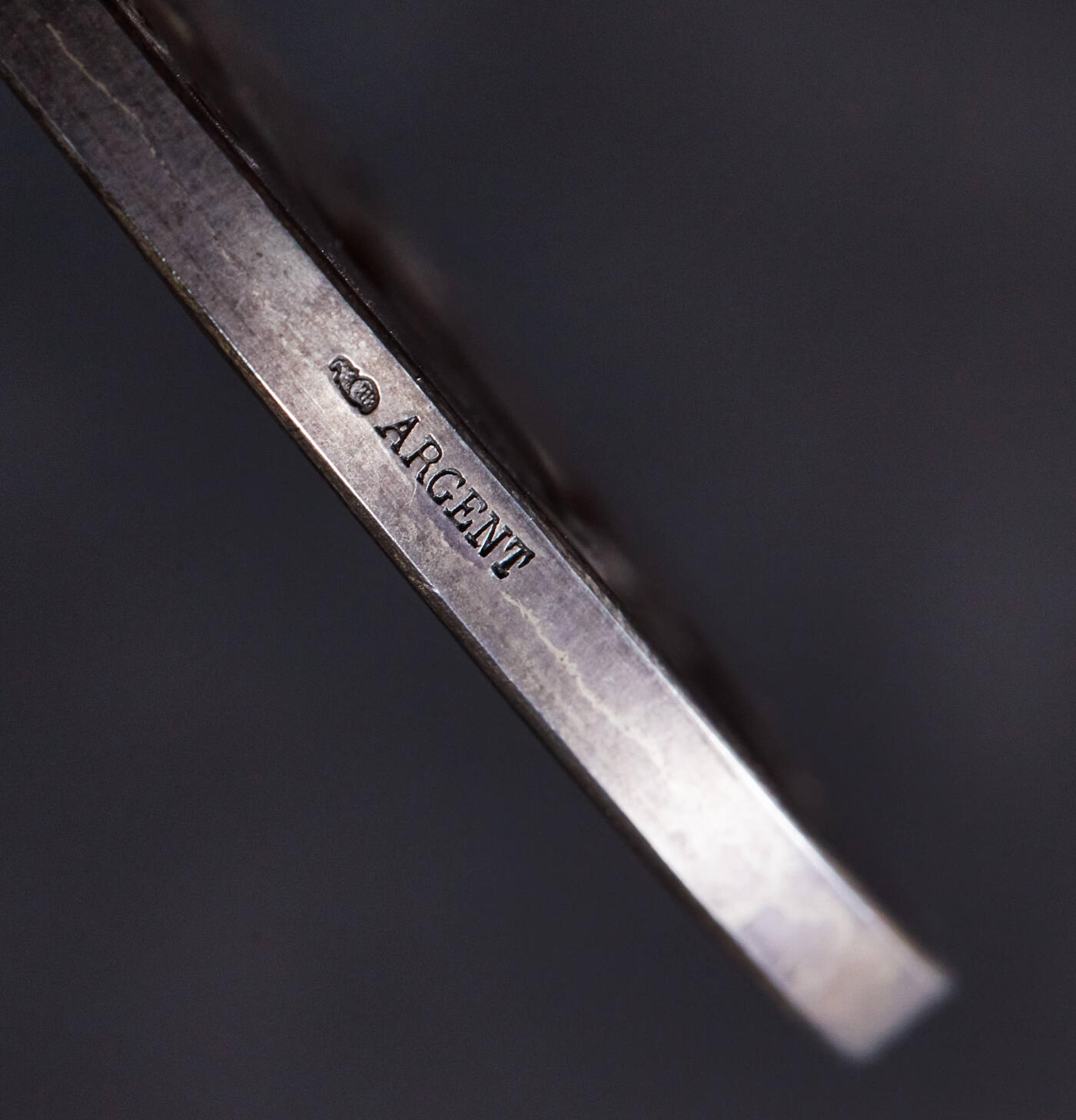 【俄甄集藏】“万象更新、马呈祥瑞”迎新春俄甄精品场-2026年(047)01-21 星期三 晚 19:30 全场包邮 法国1895年新艺术运动时期汽车俱乐部协会大型银质奖章，原盒，直径：68mm，克重：134.4克，名家查普林作品，磨砂五彩包浆，授予阿尔伯特·切斯内尔，丰饶角铭，品相完美