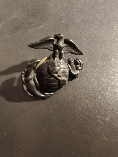 老王徽章第177期 - 美国海军陆战队大檐帽帽徽    低可视度