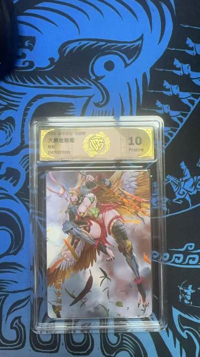 夜之极第三十八期 （1月17日周六晚9点截拍，欢迎竞拍） - CCG&焱卡 西游姬 大鹏金翅雕 炫彩 10p