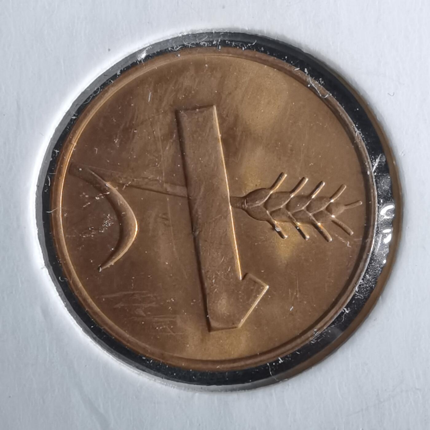 沼泽如烟--第964场