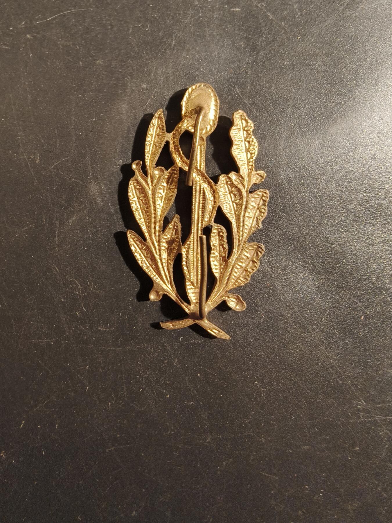 老王徽章第177期 法国陆军军医团帽徽