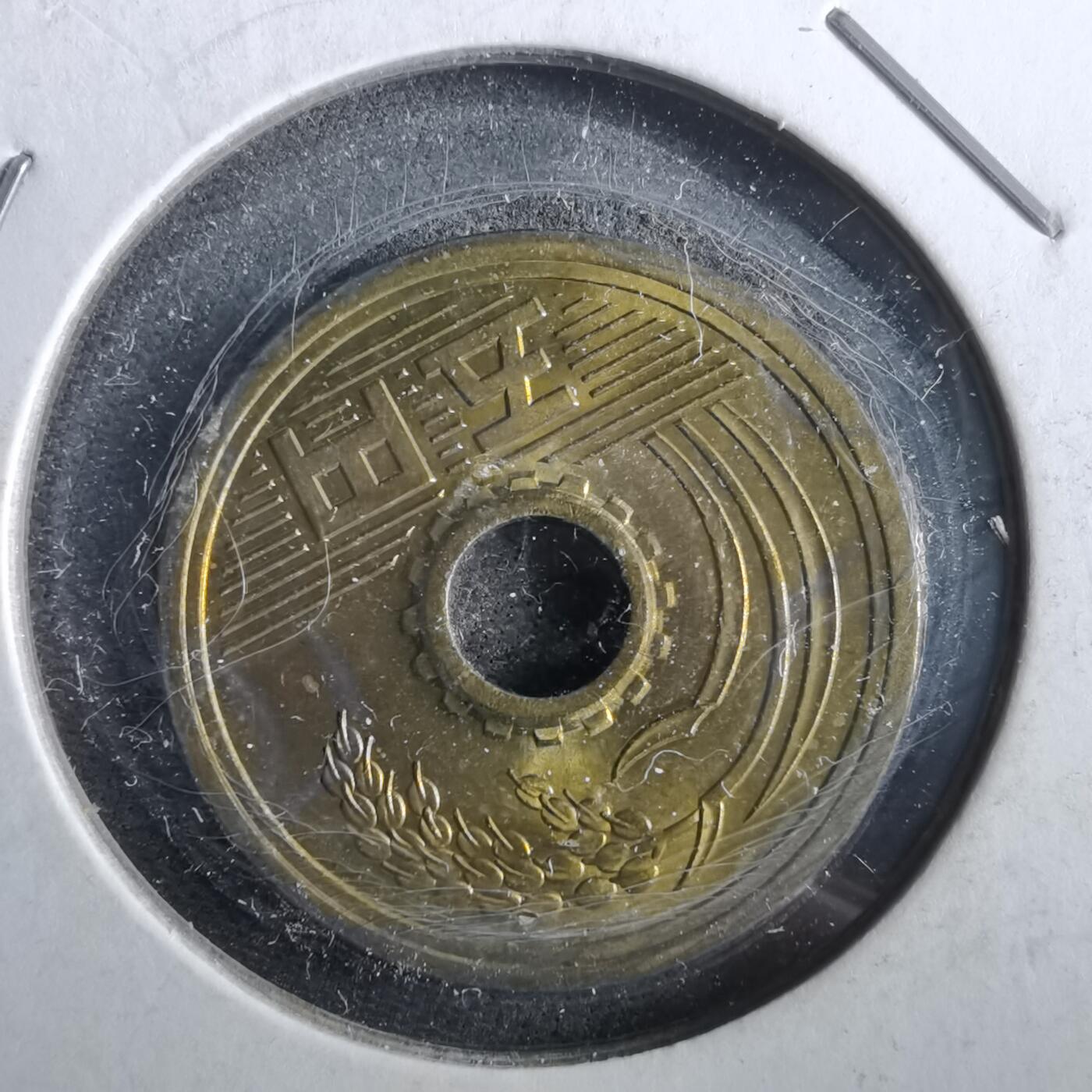 沼泽如烟--第964场 平成五年五元