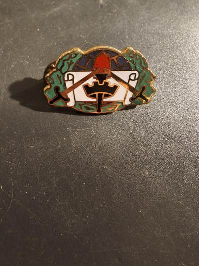 老王徽章第177期 - 美国陆军第364民事事务旅证章