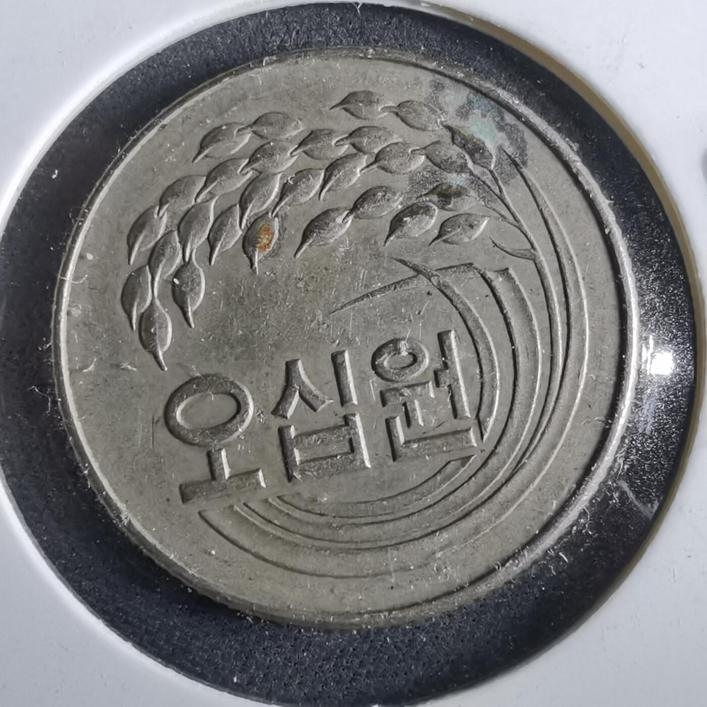 沼泽如烟--第964场