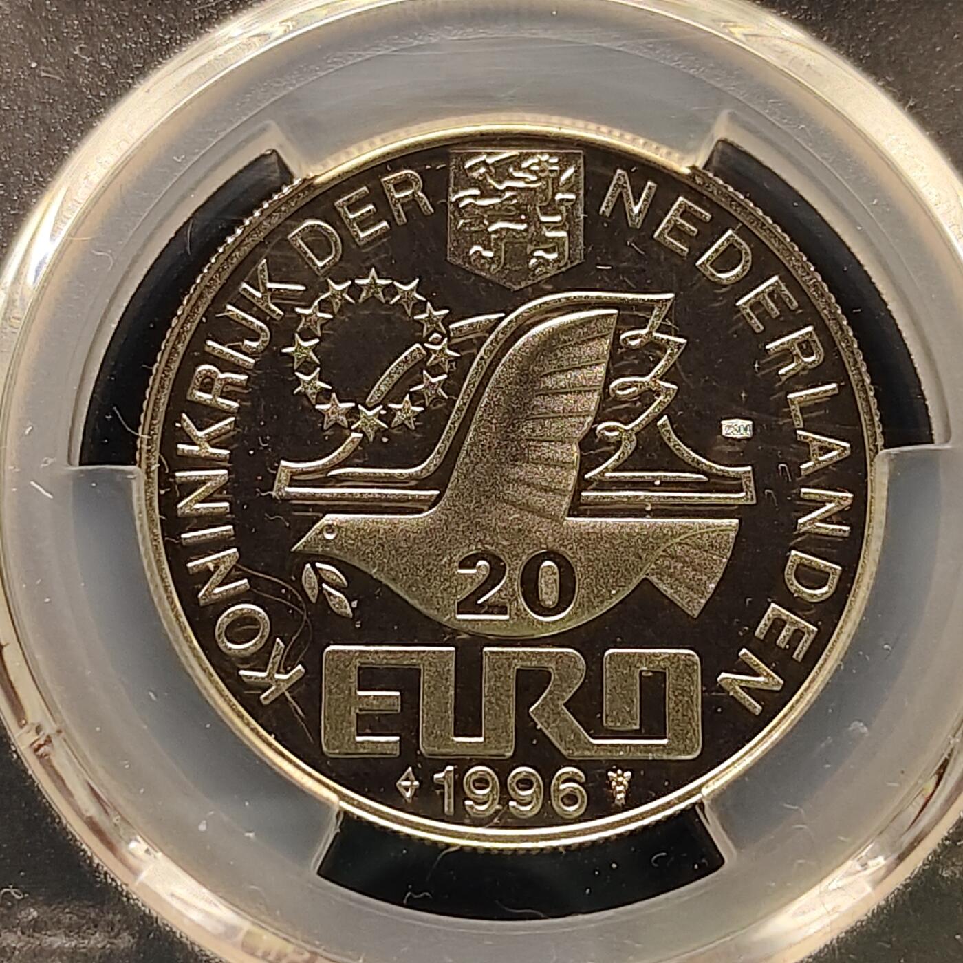 【全场包邮】纯粹捡漏拍495场-持续更新中 荷兰