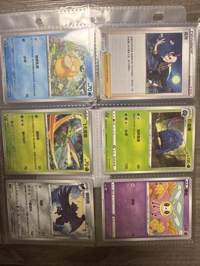 阳大大卡牌拍卖第94期（持续收拍品，周六晚上九点截拍，进群福利早知道） - 数码宝贝 宠物小精灵 12张 普卡 带卡页卡膜