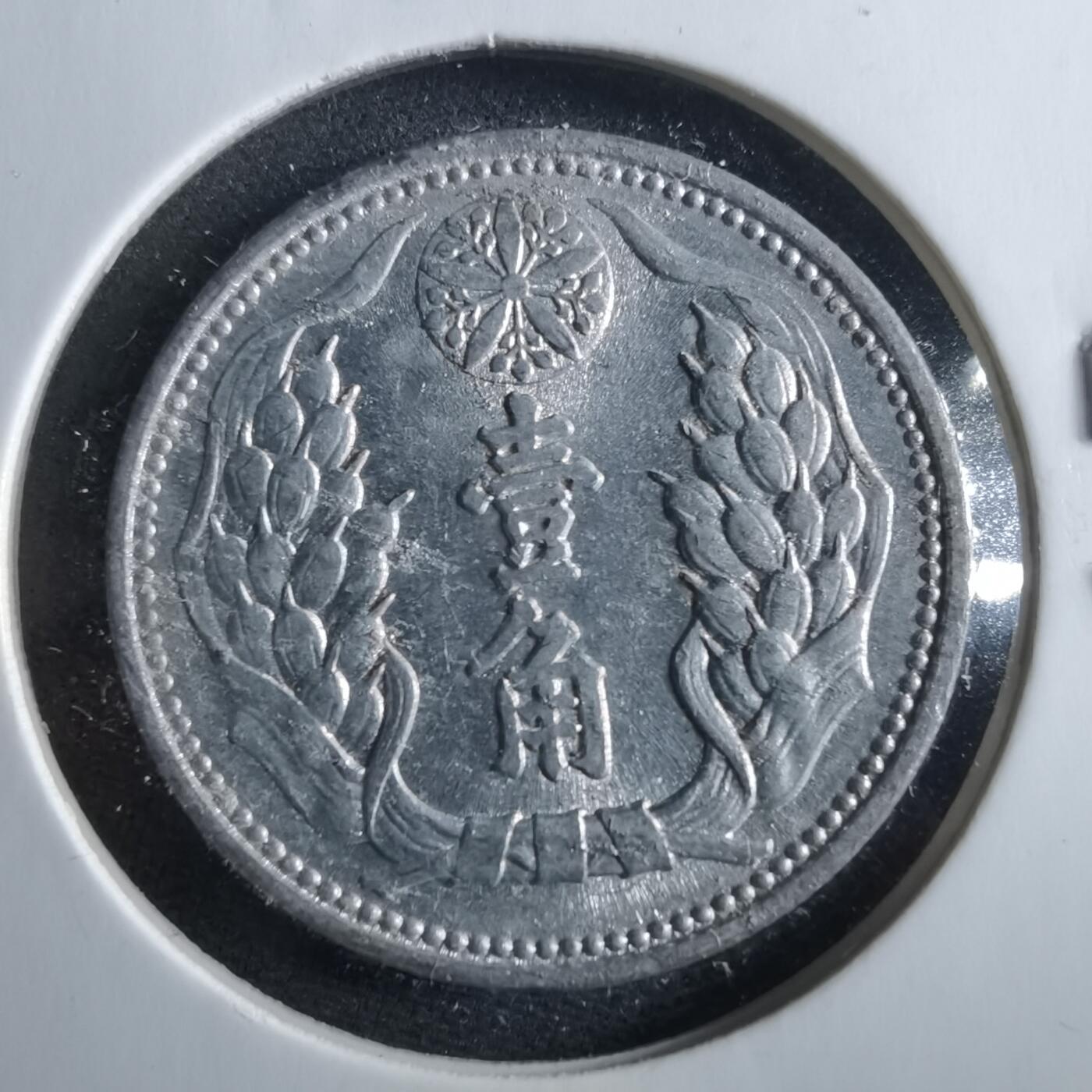 沼泽如烟--第964场