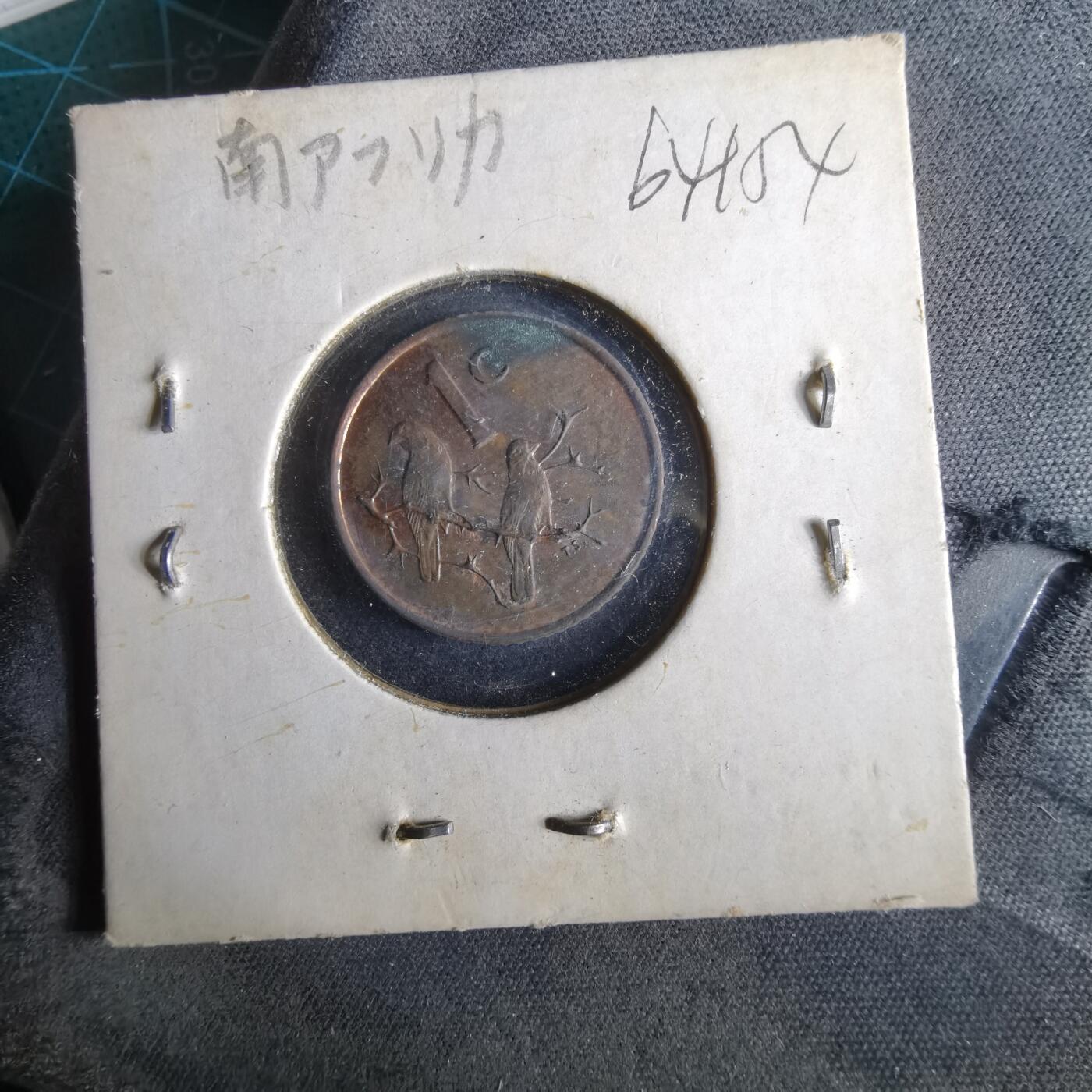 沼泽如烟--第964场