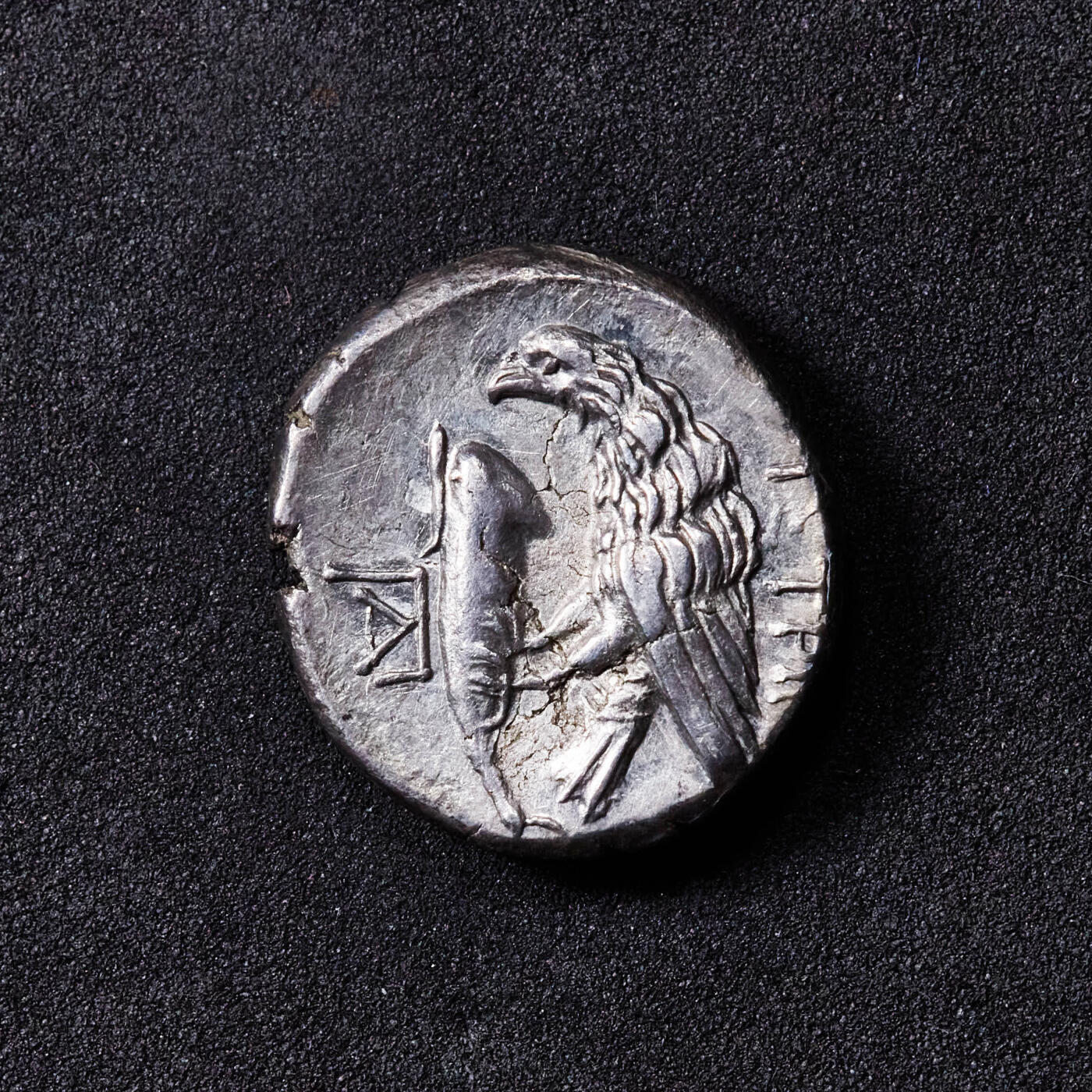 【俄甄集藏】“万象更新、马呈祥瑞”迎新春俄甄精品场-2026年(047)01-21 星期三 晚 19:30 全场包邮 古希腊莫西亚伊斯特罗斯城公元前4世纪双子座一德拉克马银币，正面是代表双子座的一正一倒两男孩头像，背面鹰啄食海豚，上方币文：“伊斯特罗斯”，直径：17mm，重量：4.59克，少见品种，底光犹存