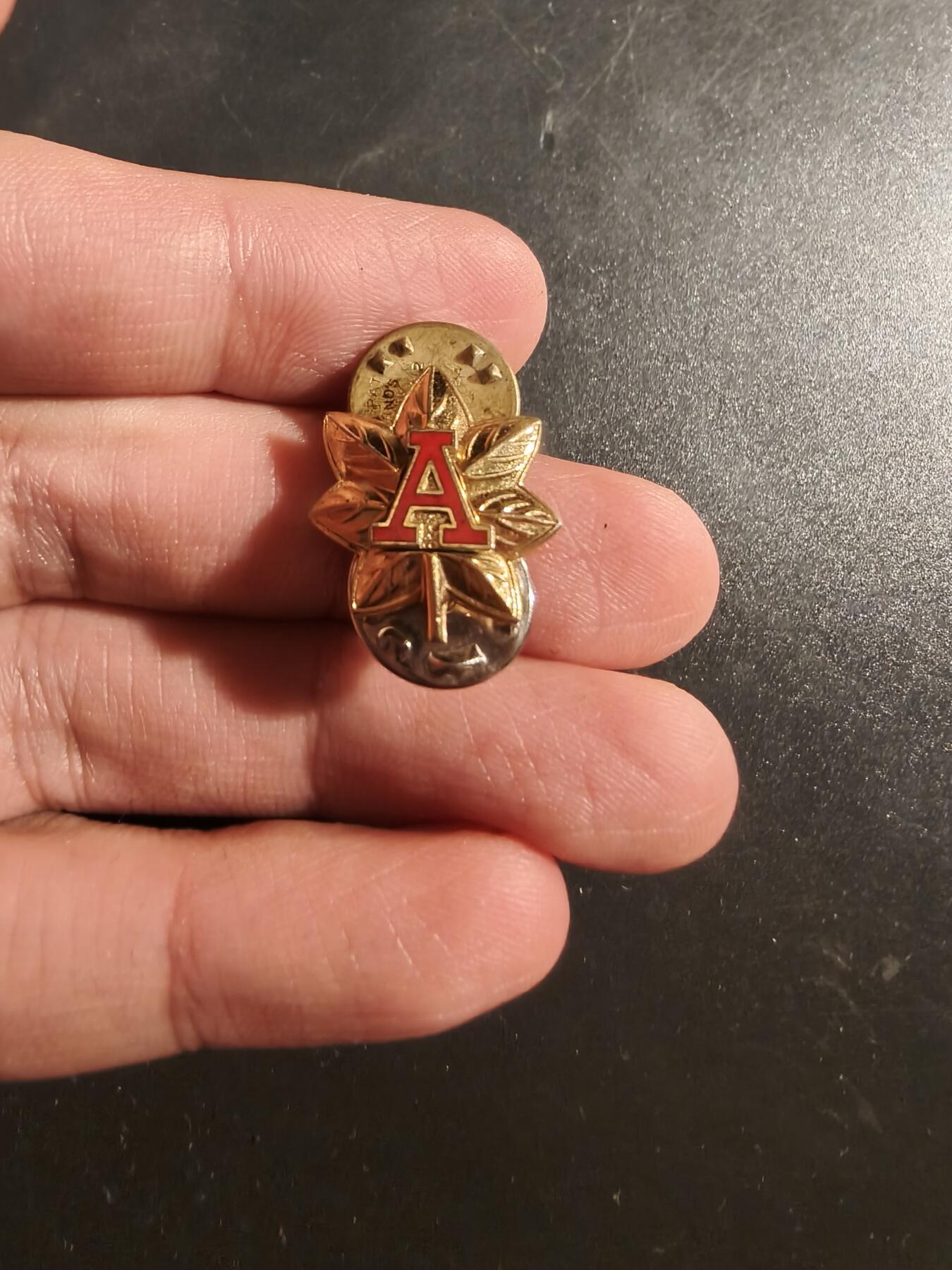 老王徽章第177期 美国海岸警卫队辅助队地区参谋领章     带厂标