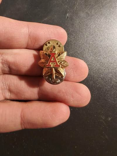 老王徽章第177期 - 美国海岸警卫队辅助队地区参谋领章     带厂标