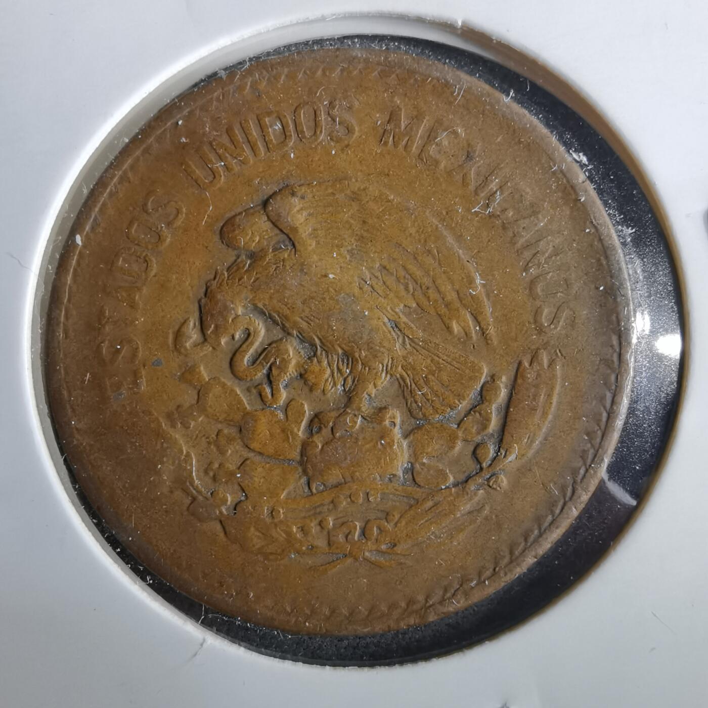 沼泽如烟--第964场