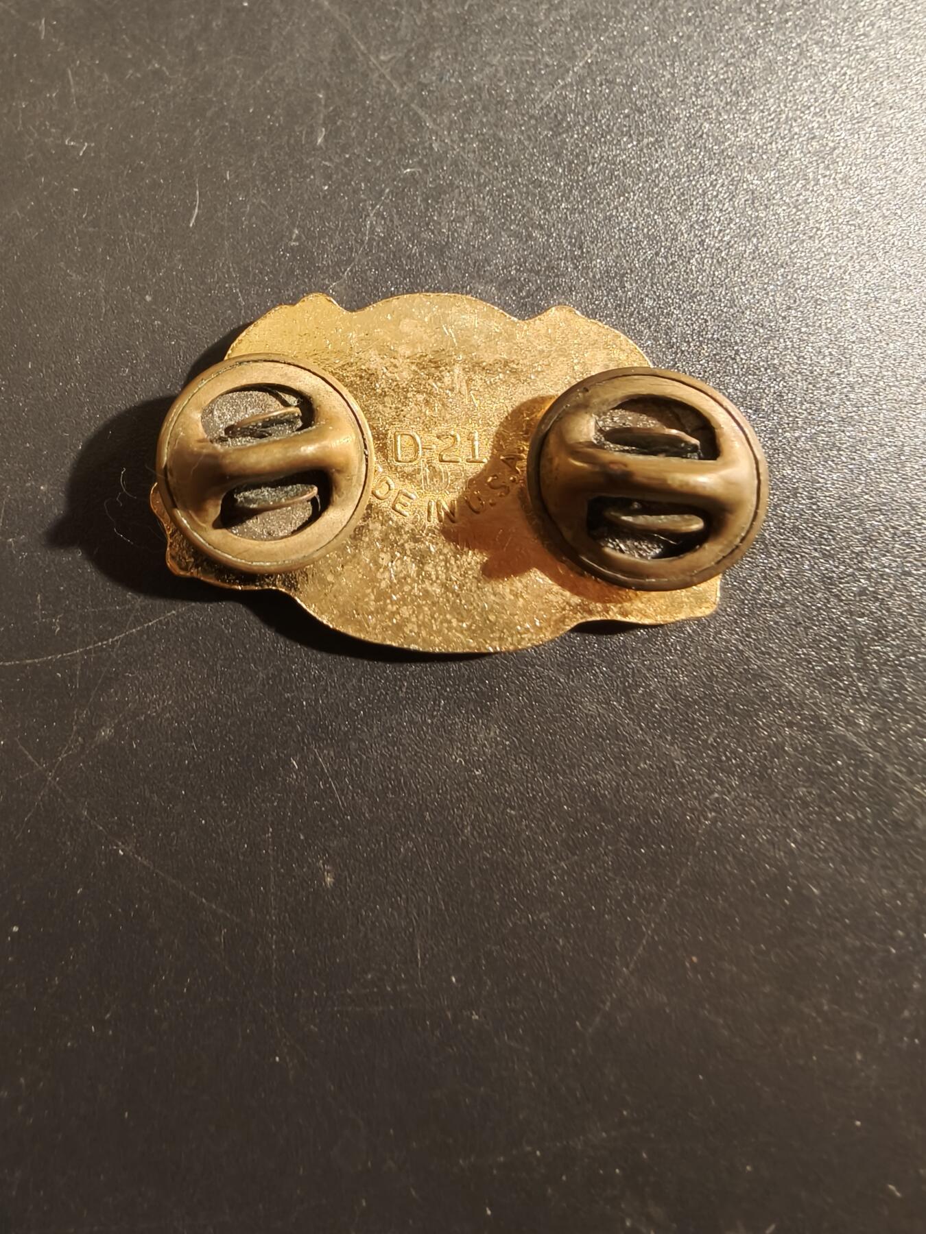 老王徽章第177期 美国陆军第364民事事务旅证章