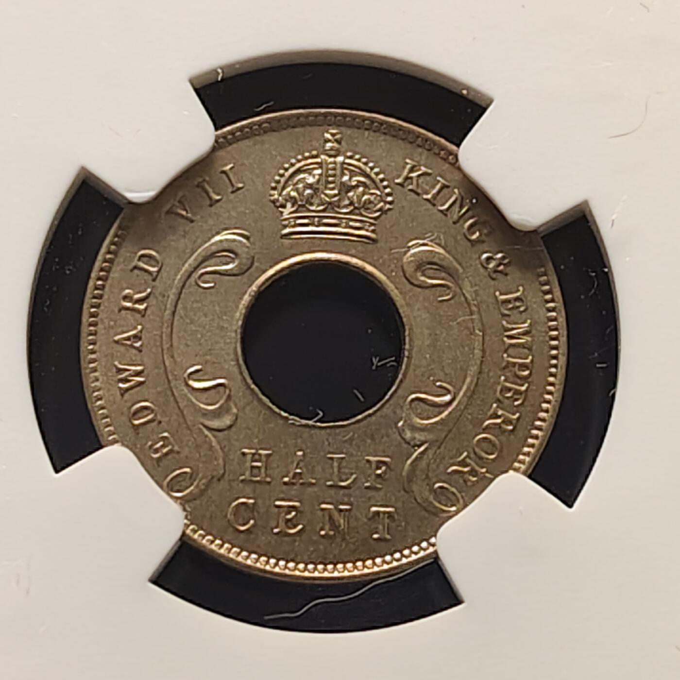 【全场包邮】纯粹捡漏拍495场-持续更新中 东非