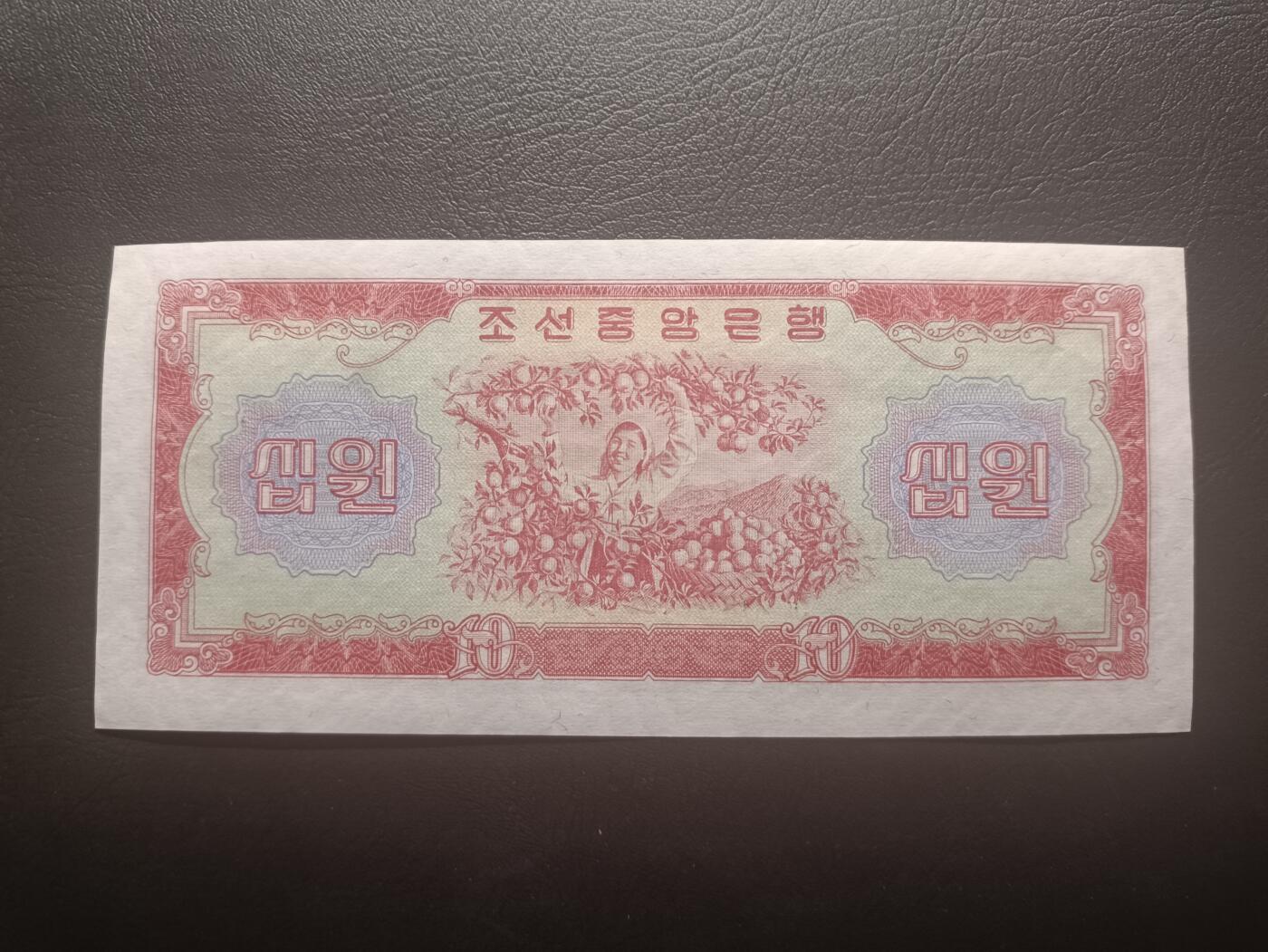 2026一月第三期，总213期 朝鲜1959版10元UNC，平壤大同门和摘果