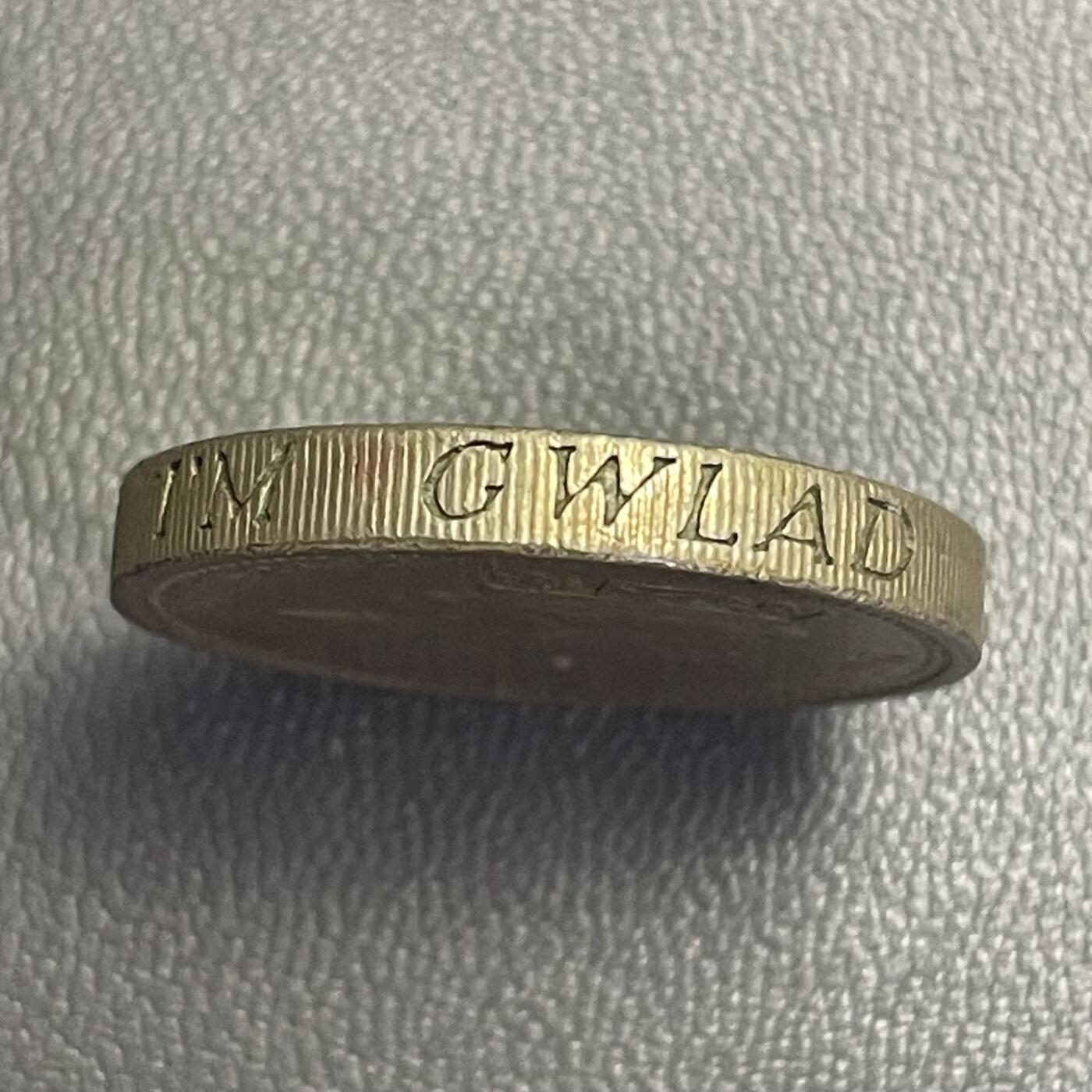 回流0120 英国1985年1英镑镍黄铜币 威尔士韭葱 高冠女王