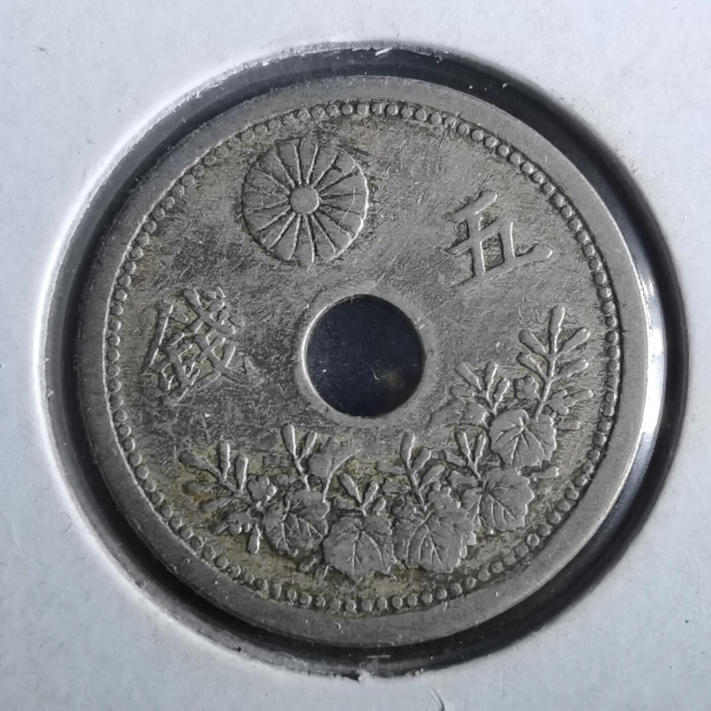 沼泽如烟--第964场