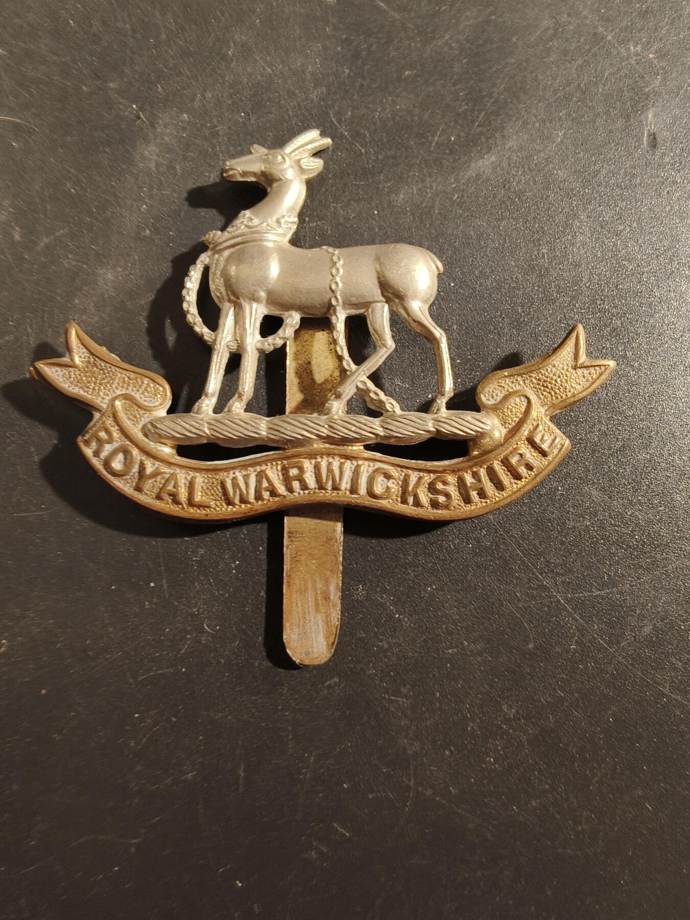 老王徽章第177期