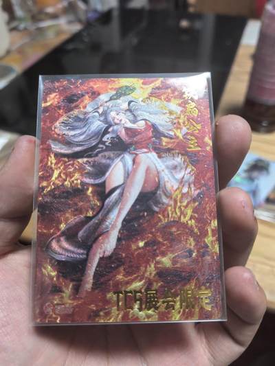 寸草不生拍卖第十八期  - 齐卡文化第三届tcs展会限定卡画师杆子铁扇公主很稀有