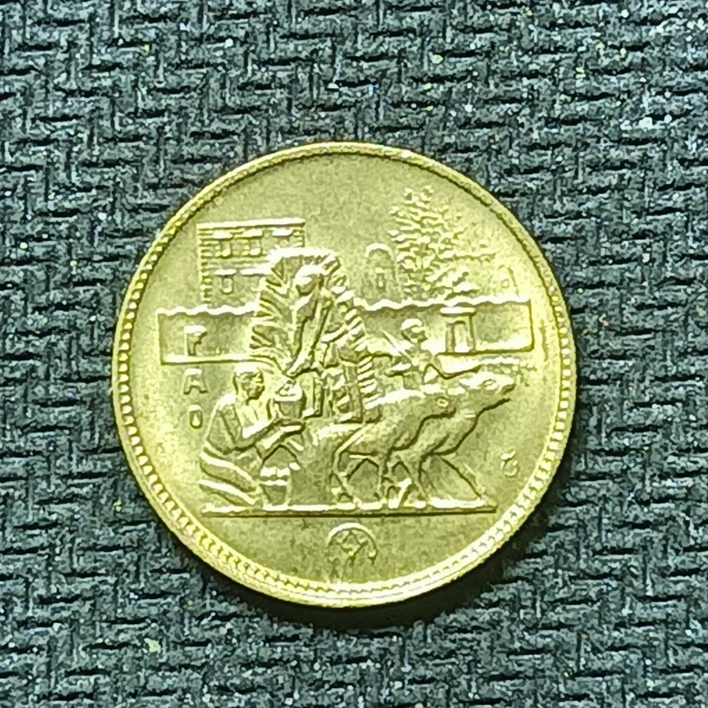 逸泉钱币2026B邻国花钱世界钱币纪念币章B第四场1-400B 302埃及5皮阿斯特纪念币