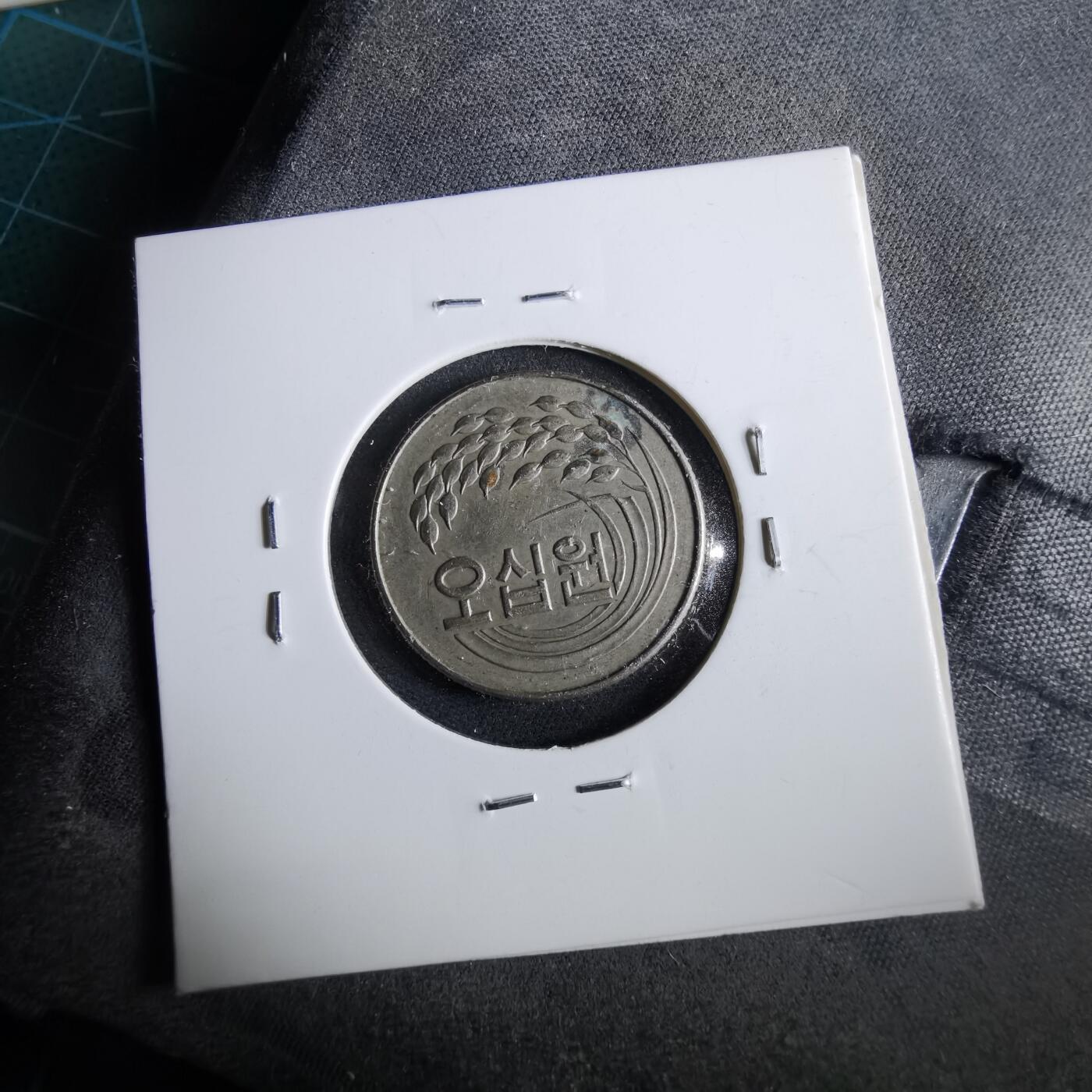 沼泽如烟--第964场