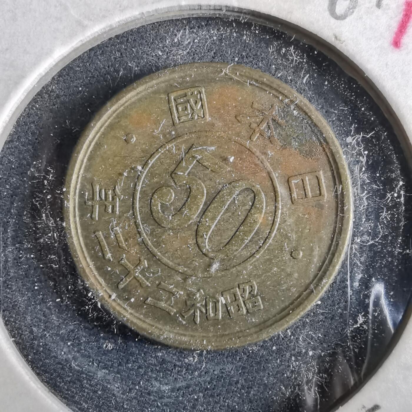 沼泽如烟--第964场