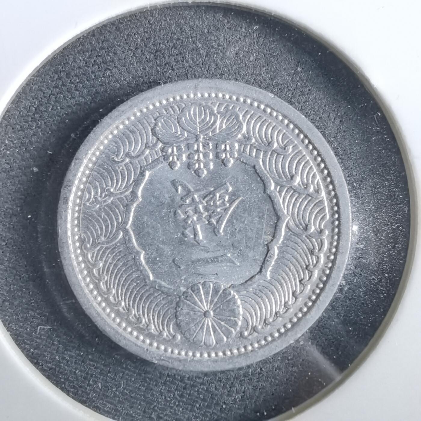 沼泽如烟--第964场