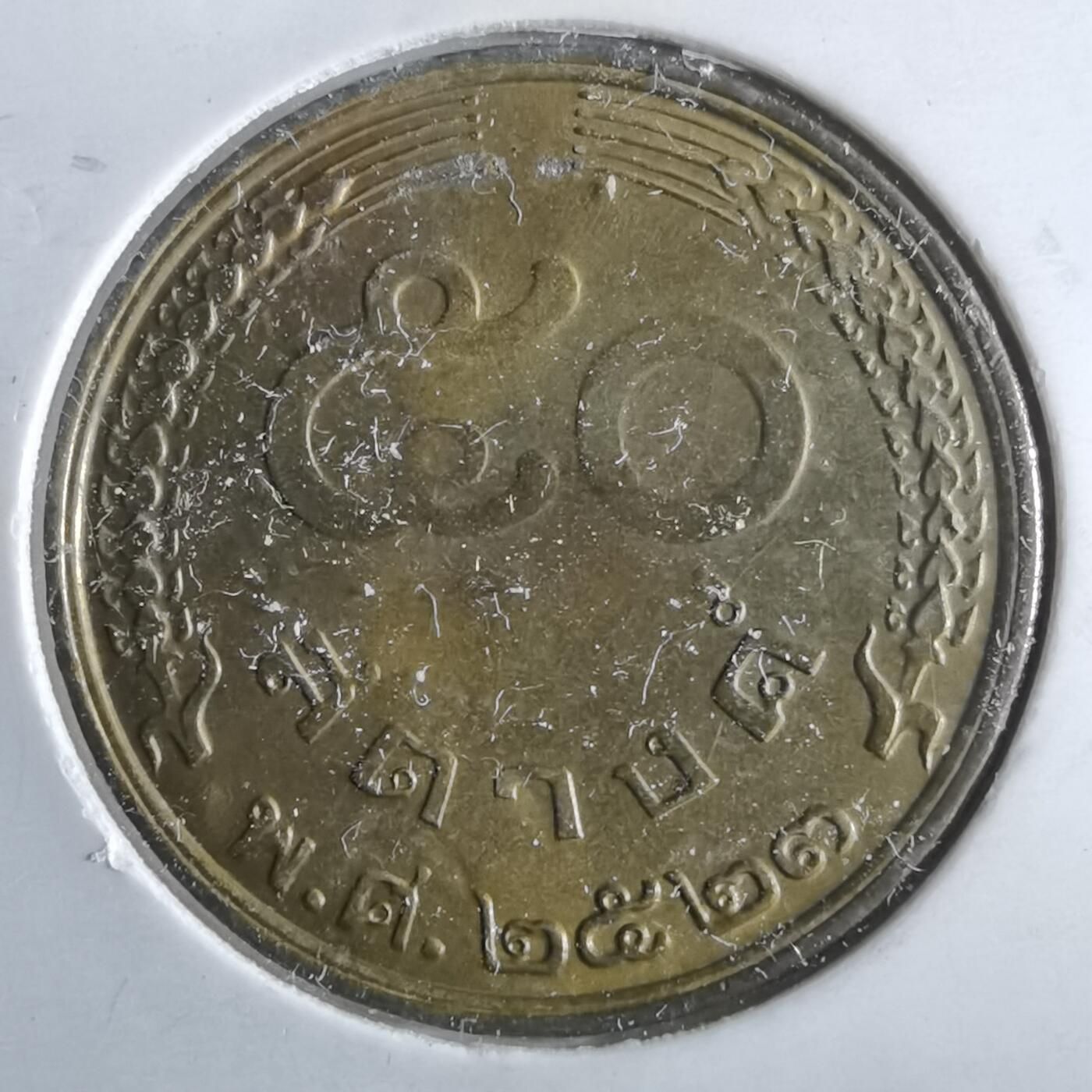 沼泽如烟--第964场 泰国