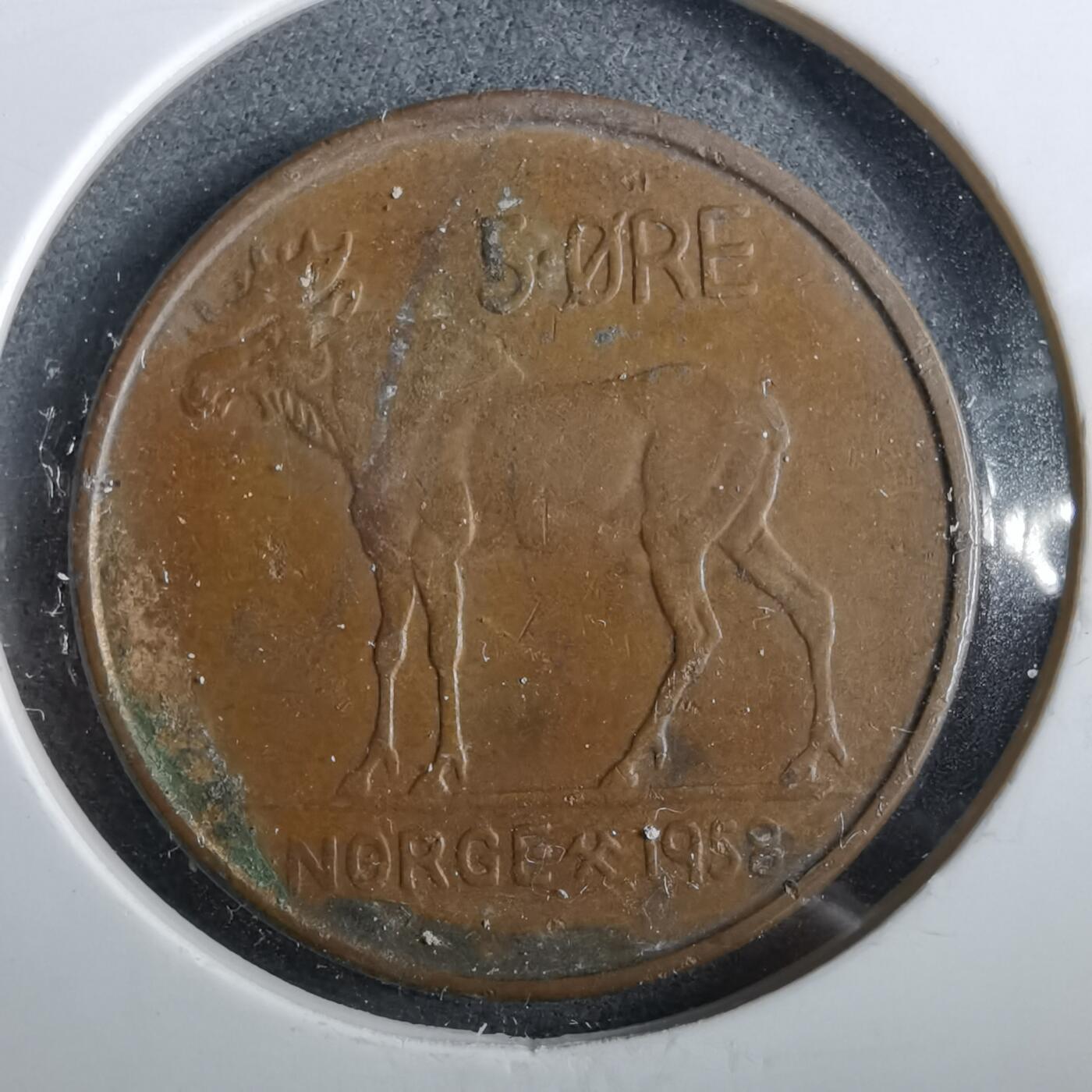 沼泽如烟--第964场