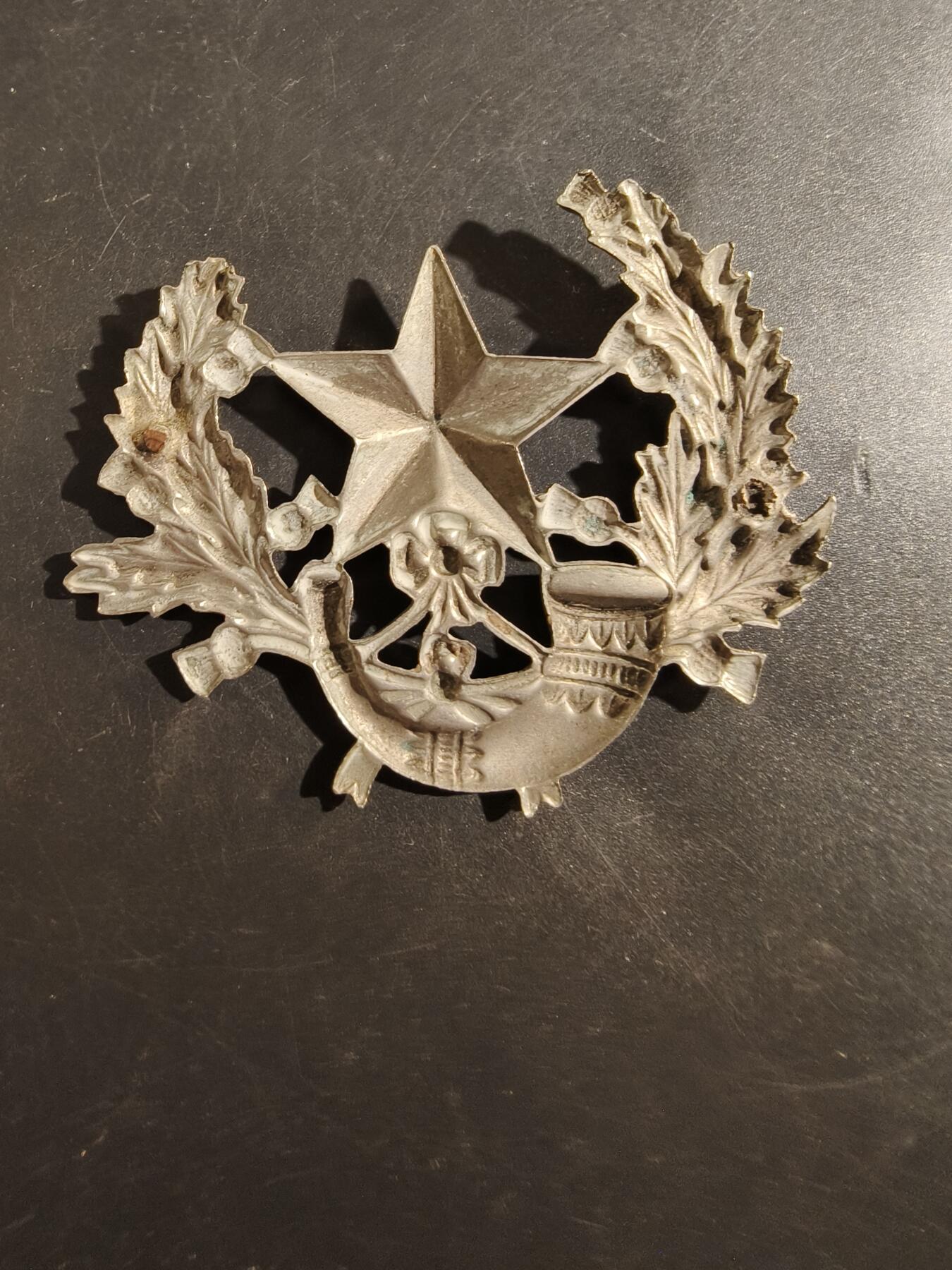 老王徽章第177期