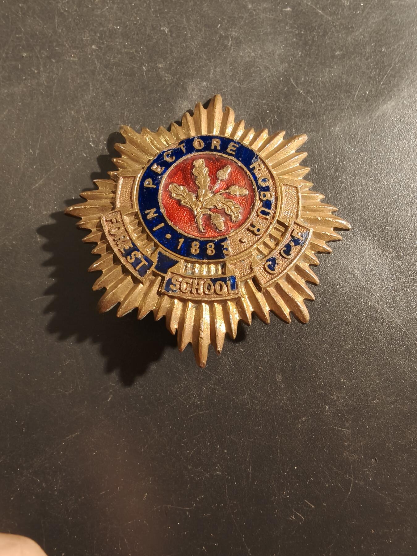 老王徽章第177期 英国森林学校军官训练团帽徽