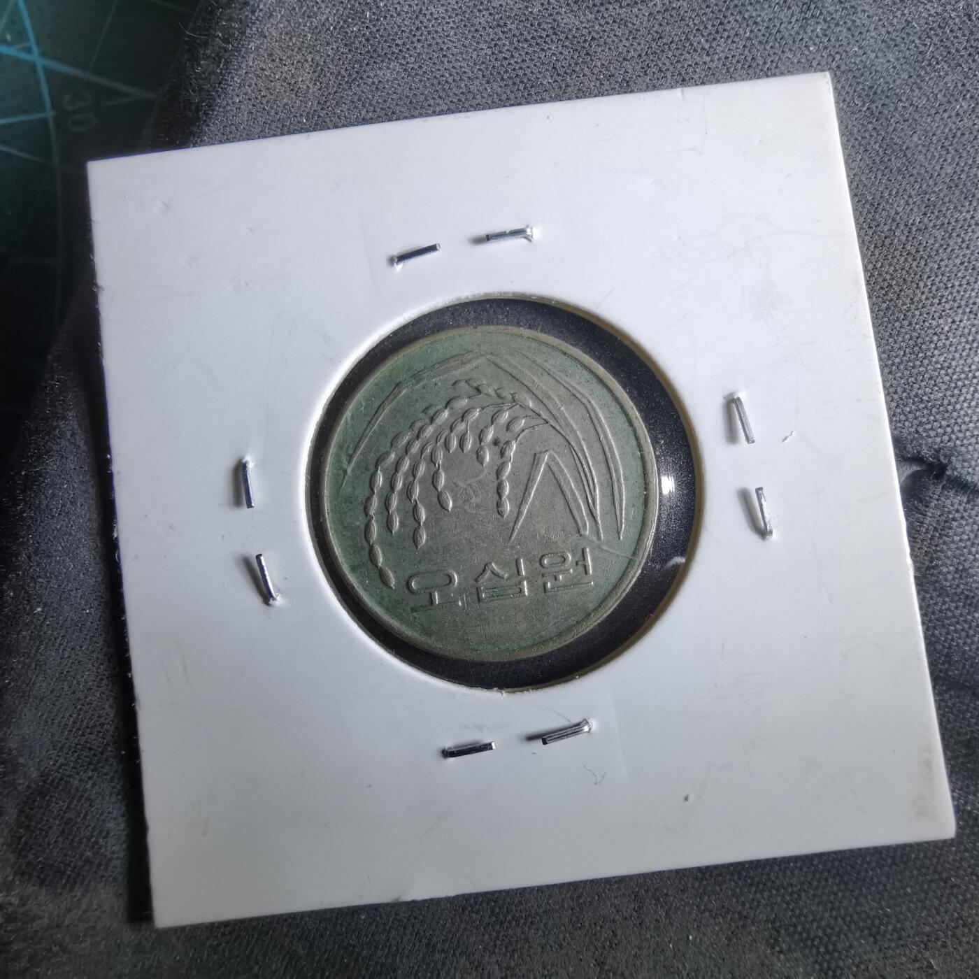 沼泽如烟--第964场