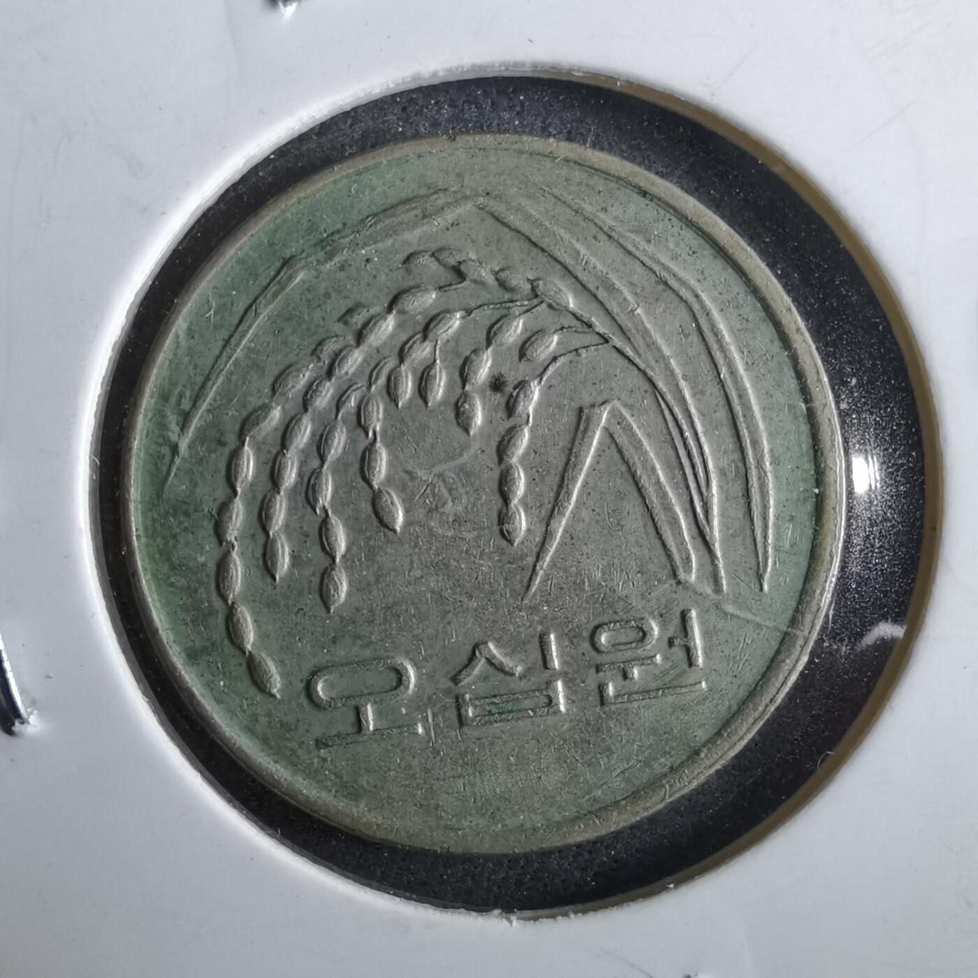 沼泽如烟--第964场