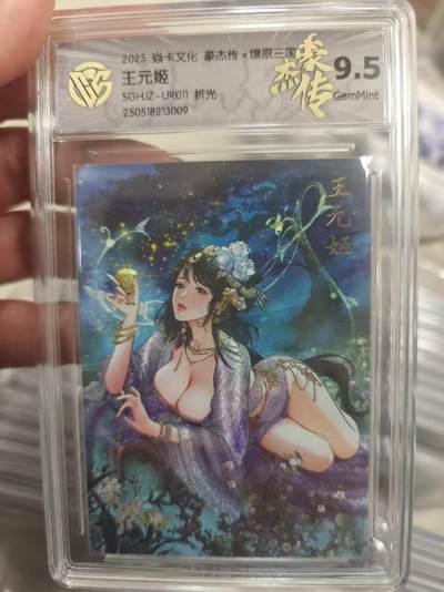 寸草不生拍卖第十八期  - 2025 焱卡文化 豪杰传x燎原三国  王元姬SGHJZ-UR011 折光