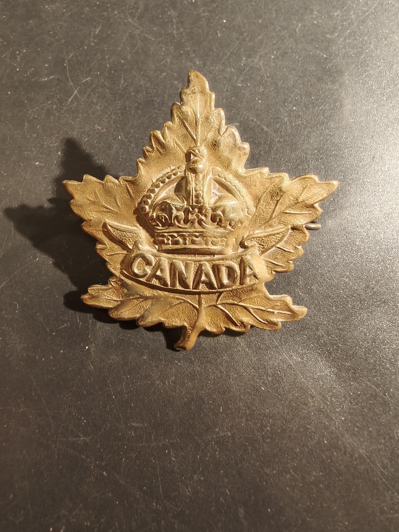 老王徽章第177期 英联邦皇家加拿大远征军帽徽     一战时期
