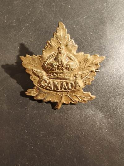 老王徽章第177期 - 英联邦皇家加拿大远征军帽徽     一战时期