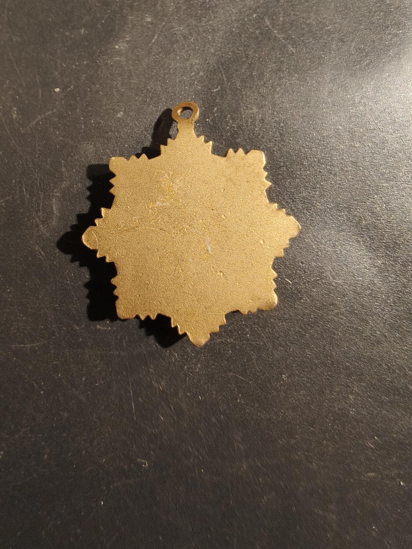 老王徽章第177期