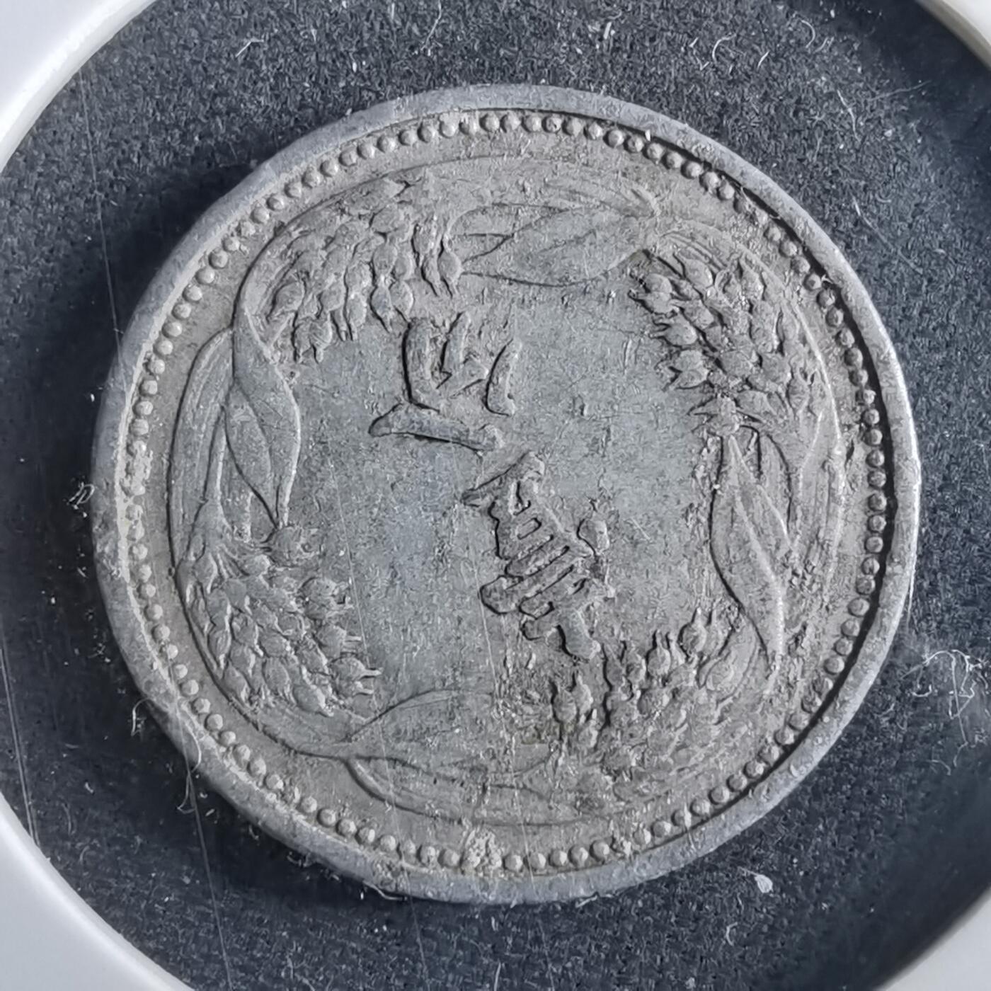 沼泽如烟--第964场