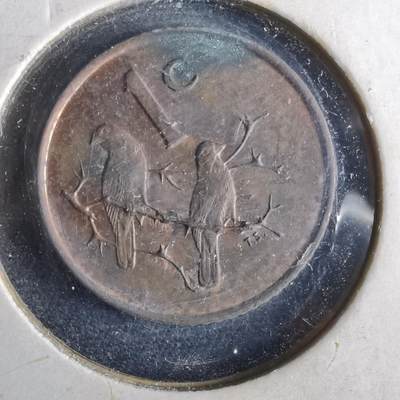 沼泽如烟--第964场 - 南非1966年一分