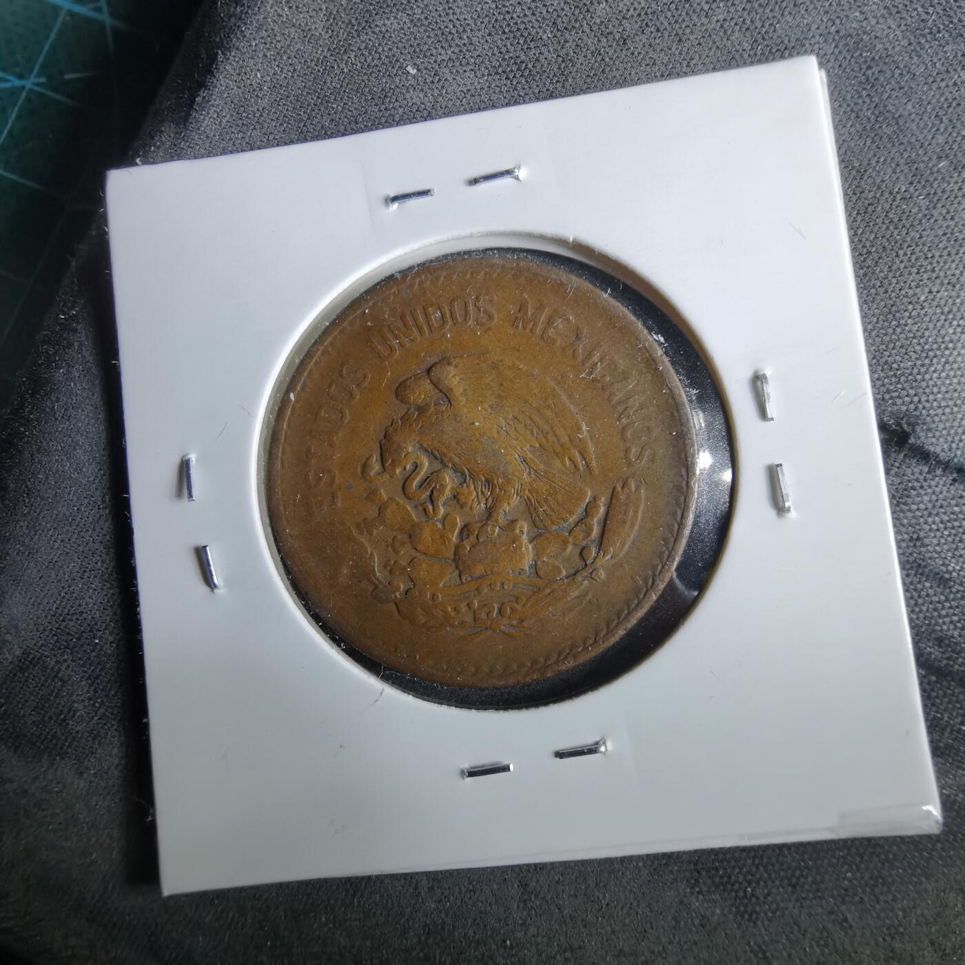 沼泽如烟--第964场