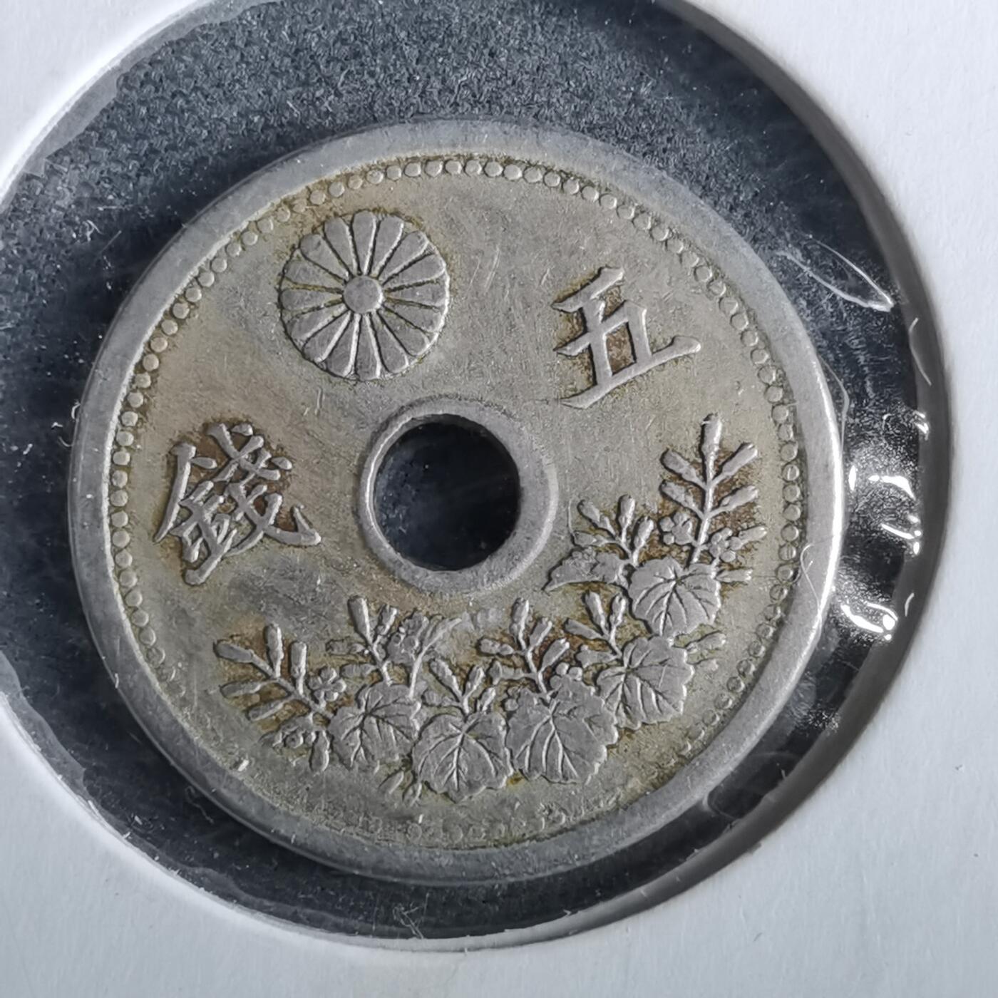 沼泽如烟--第964场