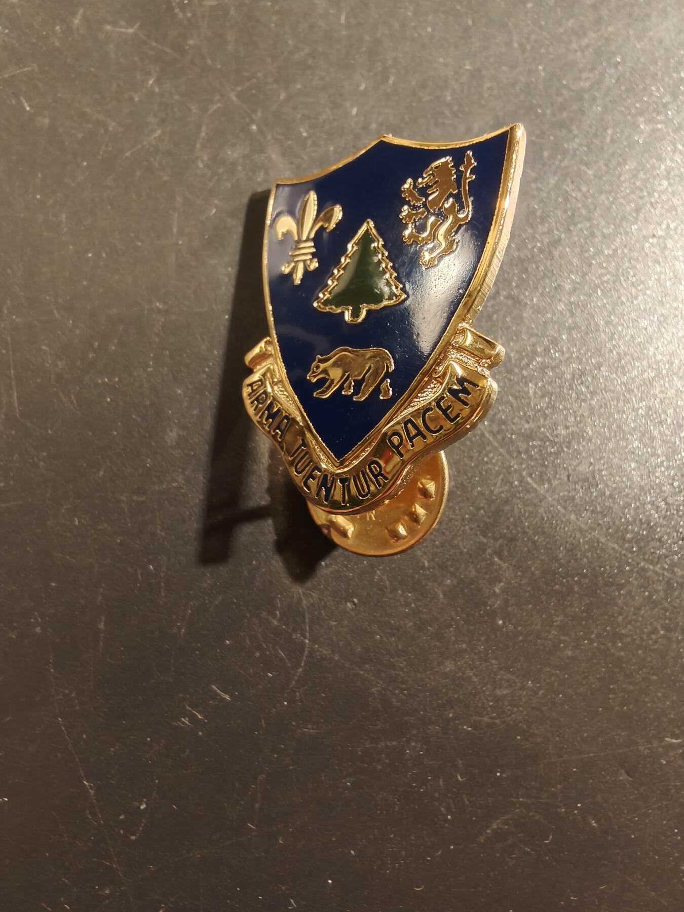 老王徽章第177期 美国陆军第362团证章