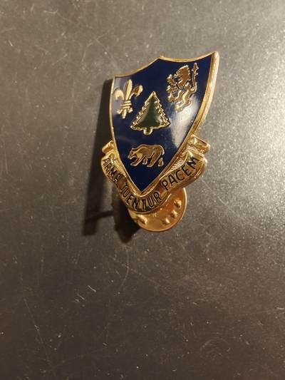 老王徽章第177期 - 美国陆军第362团证章