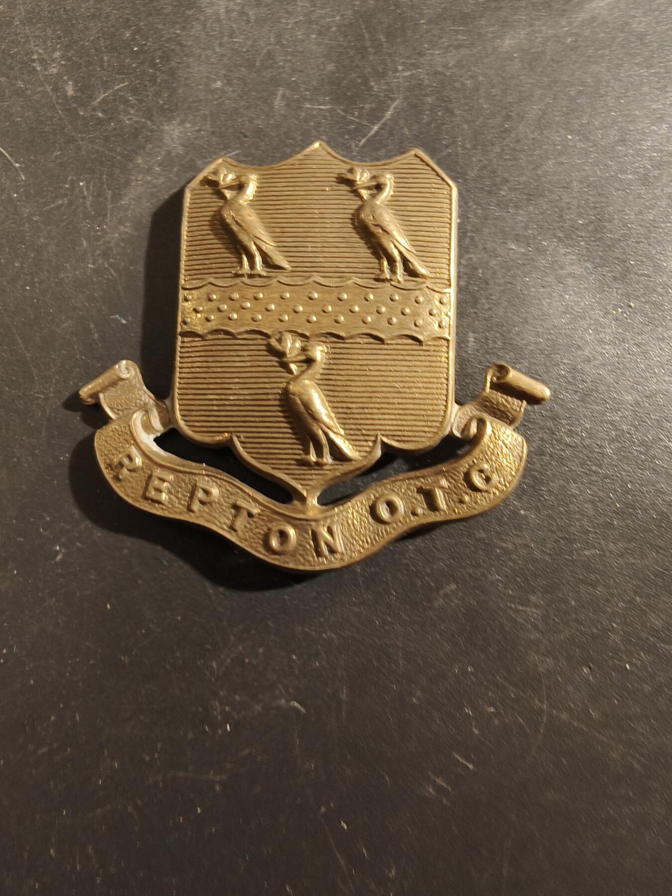 老王徽章第177期 英国拉普顿学校预备军官团帽徽    二战时期