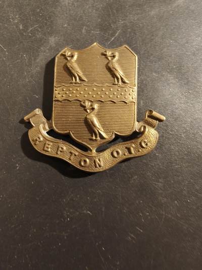老王徽章第177期 - 英国拉普顿学校预备军官团帽徽    二战时期