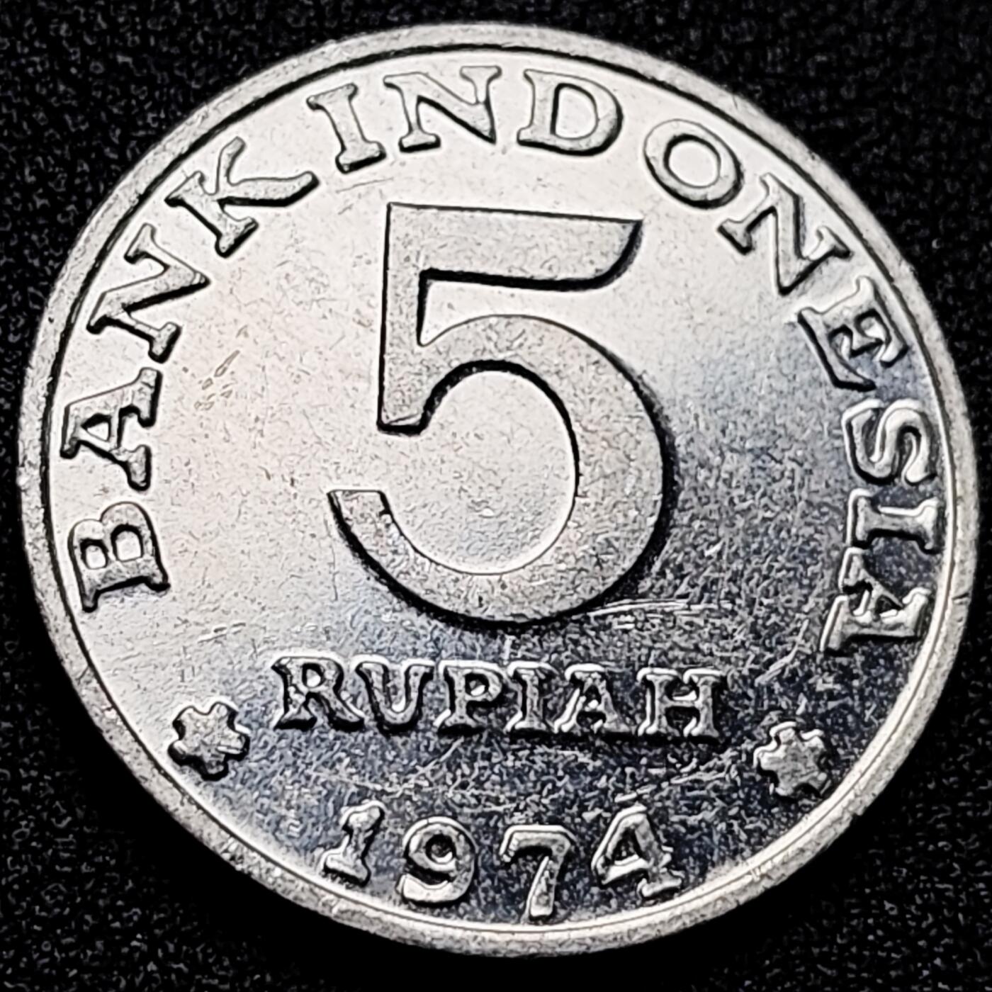 泉币菌-第171场- 精品福利场 。