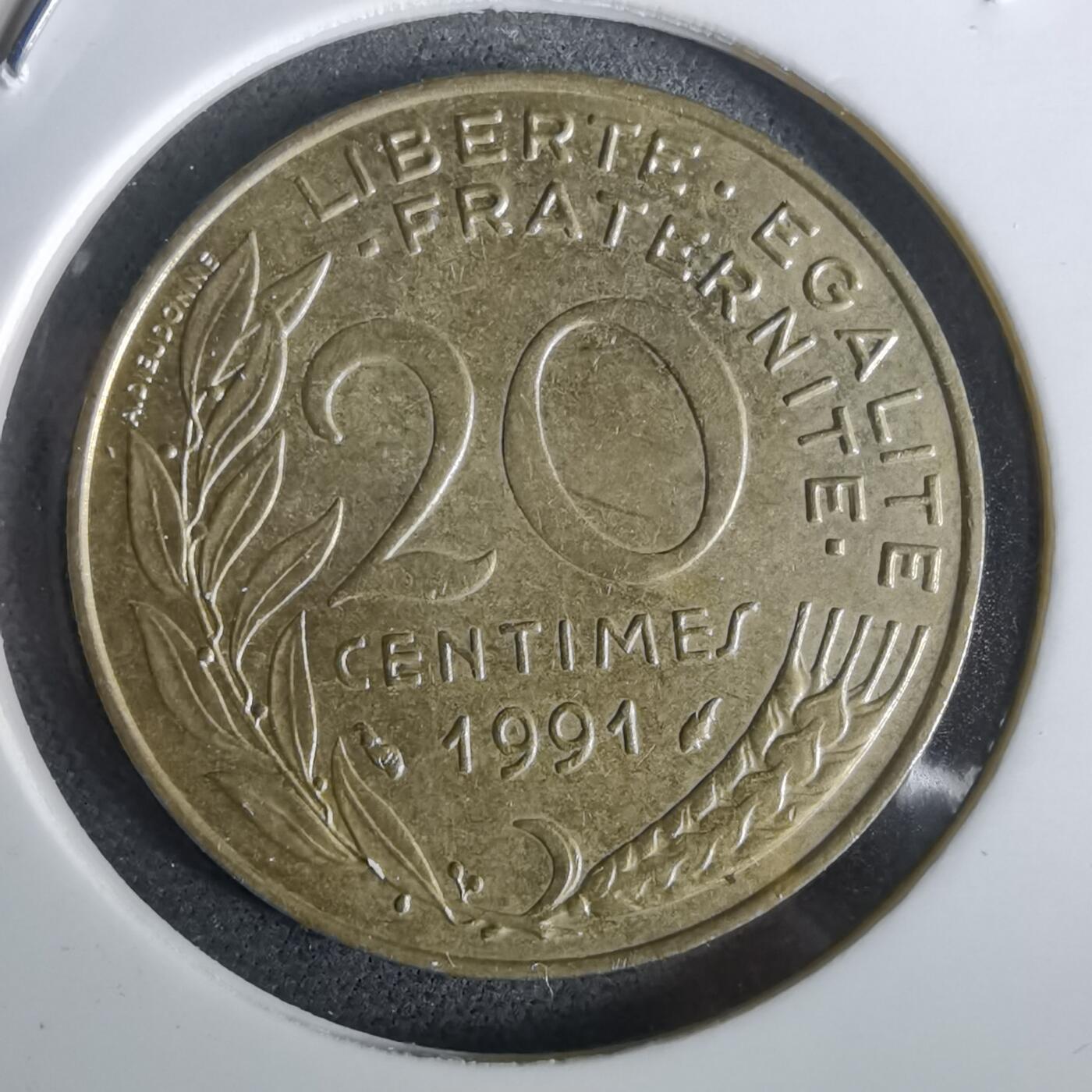 沼泽如烟--第965场