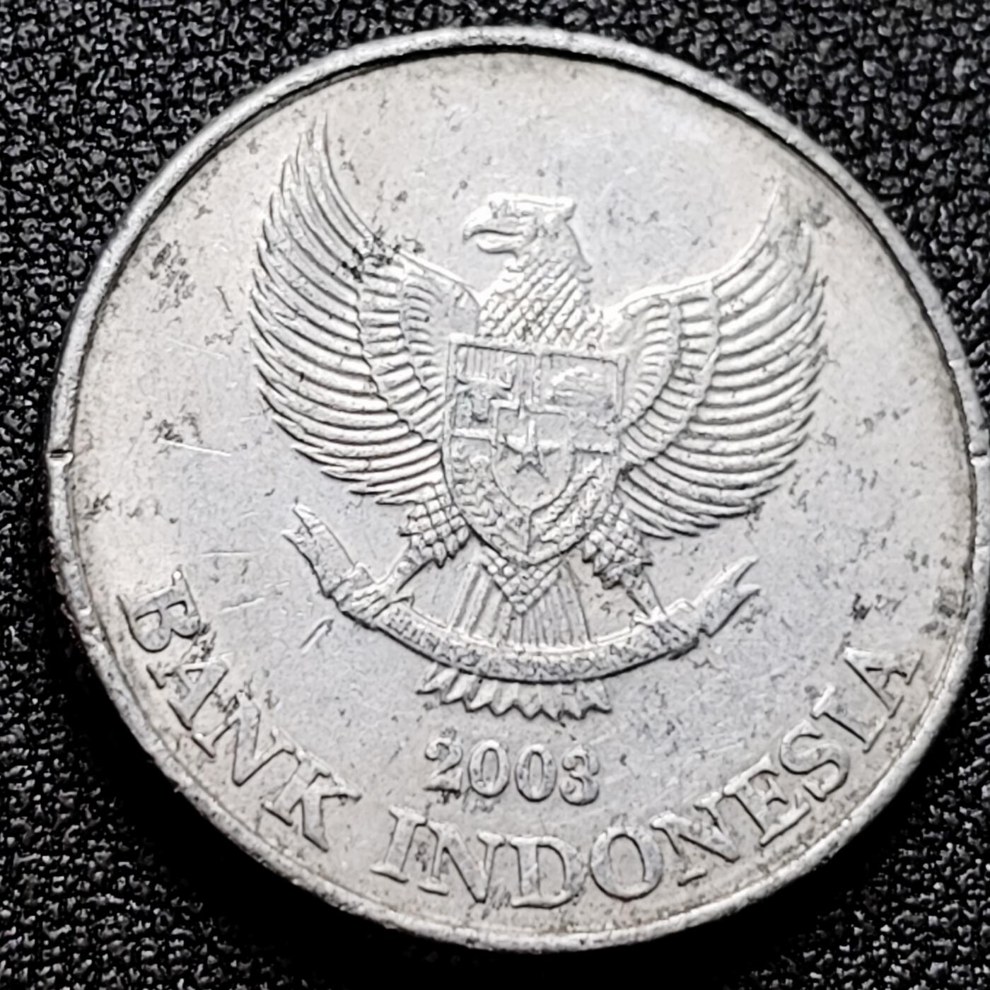 泉币菌-第171场- 精品福利场 。