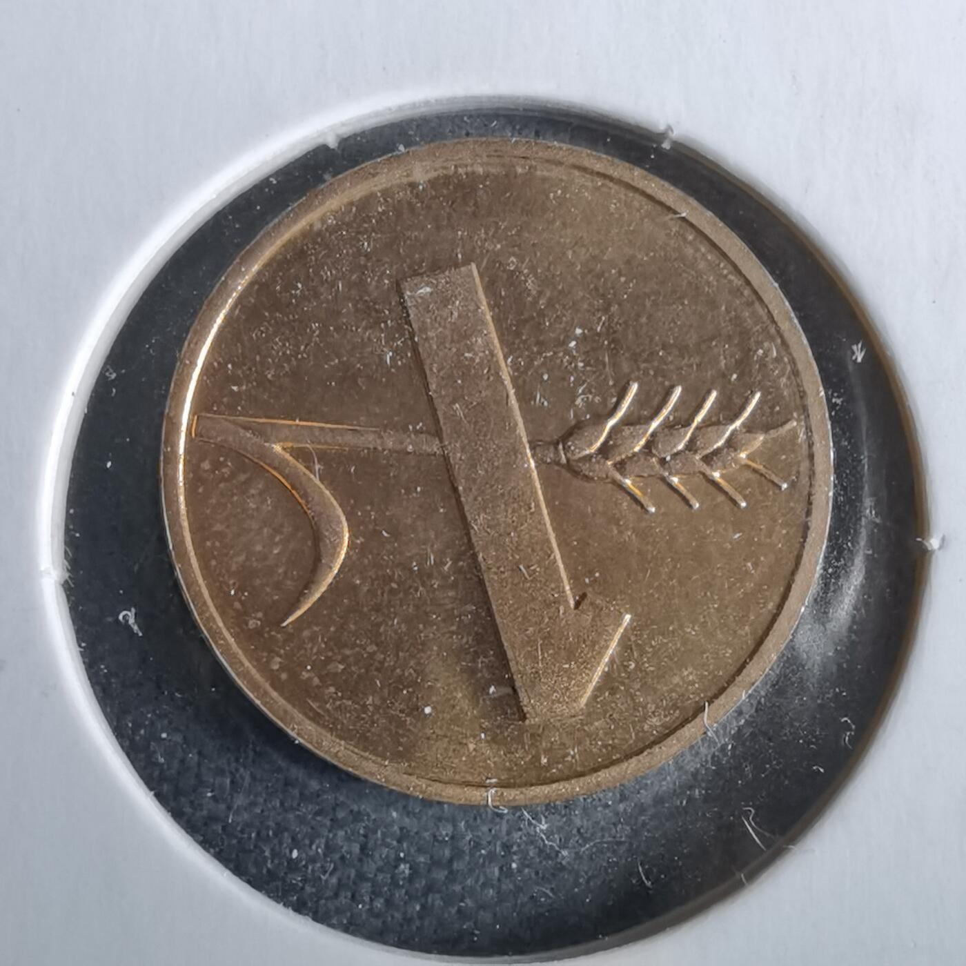 沼泽如烟--第963场